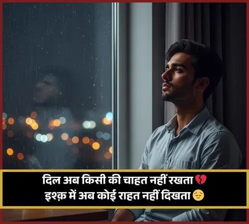 No Love Shayari